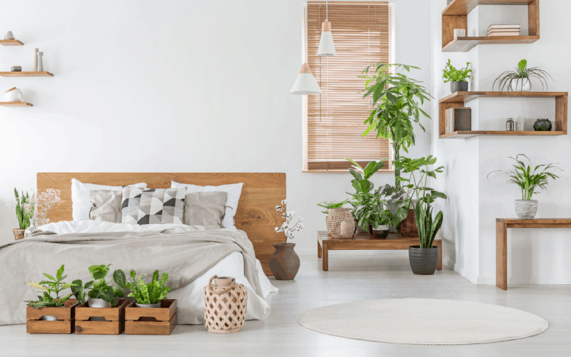 Phòng ngủ với cây xanh