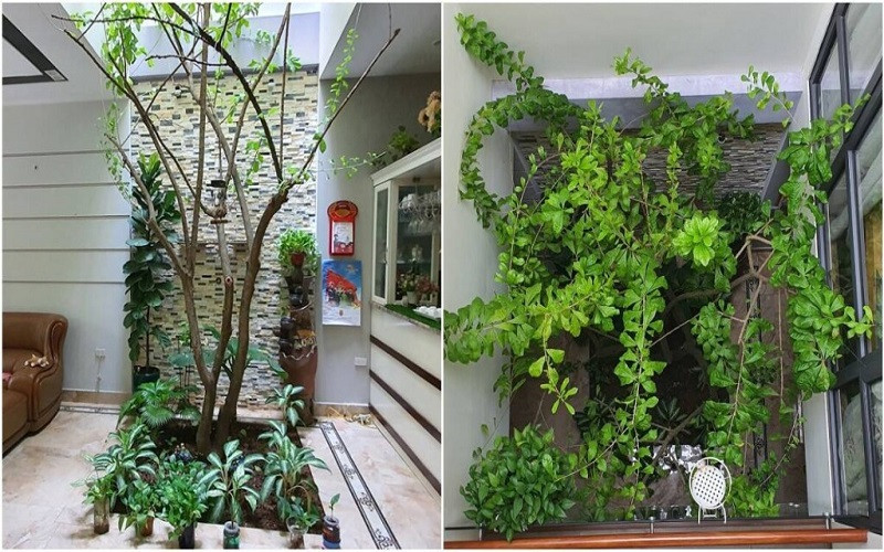 Thiết kế giếng trời hạn chế âm thanh vang dội