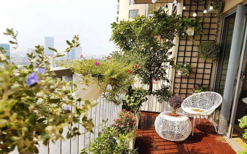 Thiết kế không gian xanh cho nhà phố với ban công
