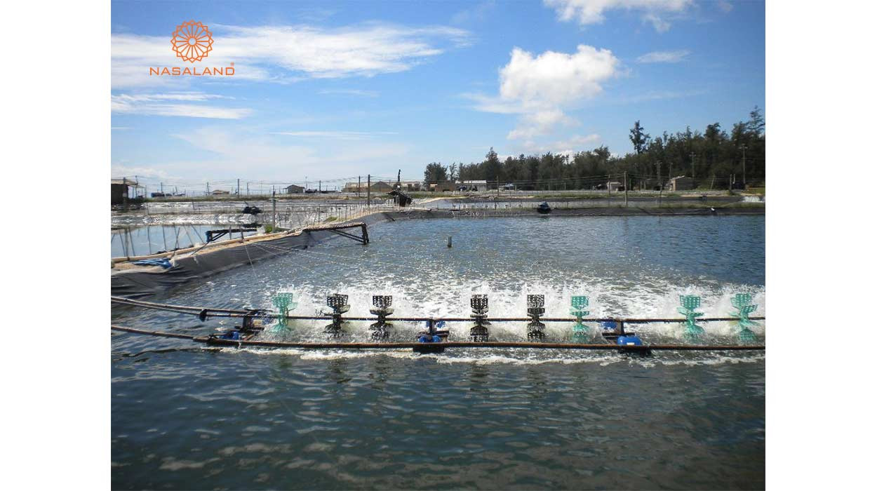 Đất nuôi trồng thủy sản là gì? Có lên thổ cư được không?
