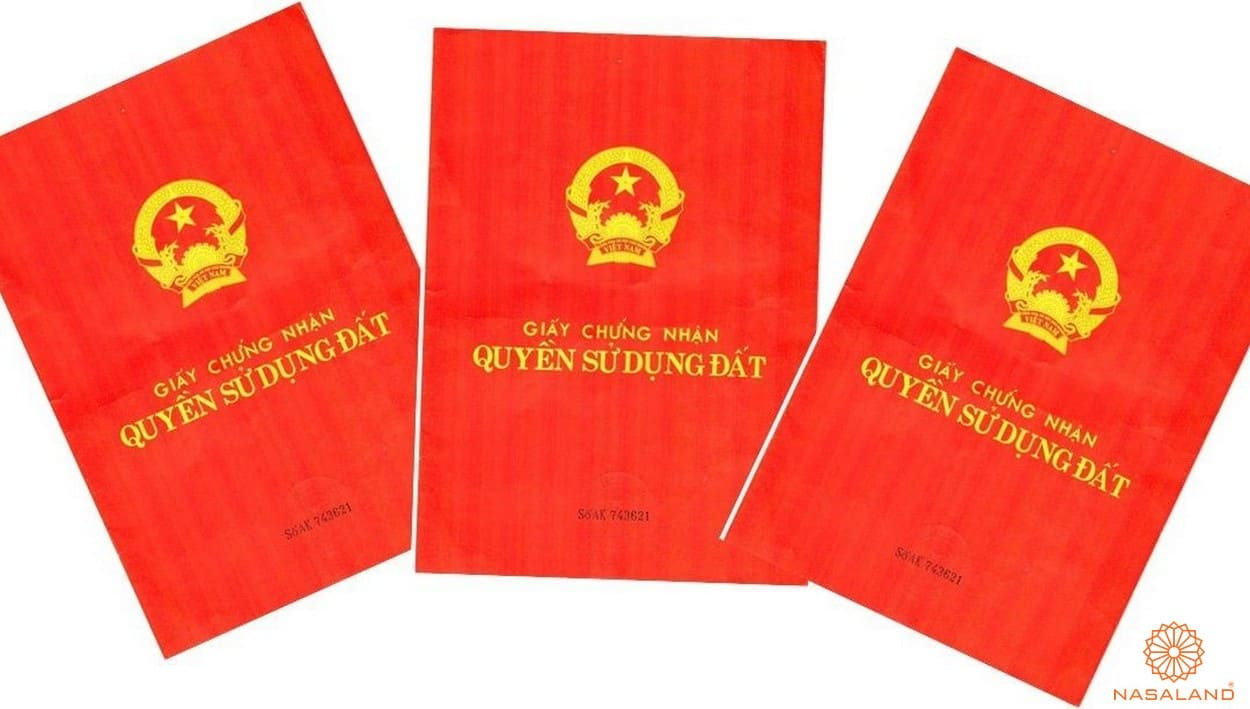 Đất sổ chung là gì? Kinh nghiệm khi đầu tư loại hình này mà bạn cần biết