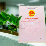 So sánh hình thức sở hữu nhà ở cho Việt Kiều: Đứng tên sổ đỏ hay ủy quyền?