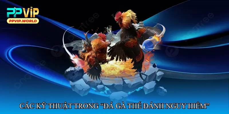Đá gà thế đánh nguy hiểm