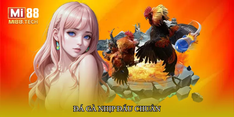 Đá gà nhịp đấu chuẩn