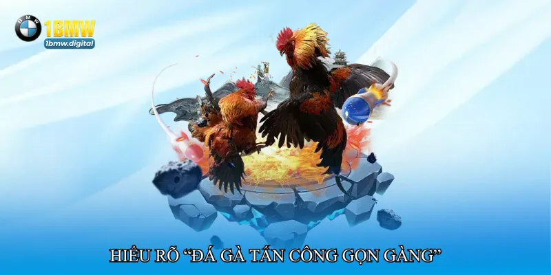 Đá gà tấn công gọn gàng