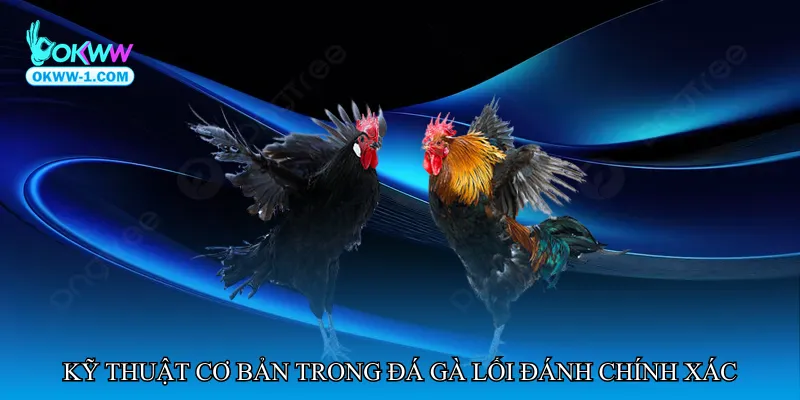 Đá gà lối đánh chính xác