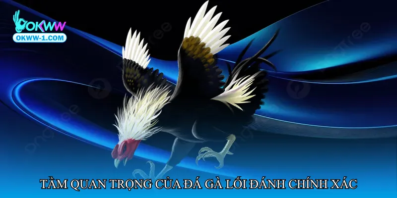 Đá gà lối đánh chính xác